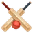 parimatch cricket icon
