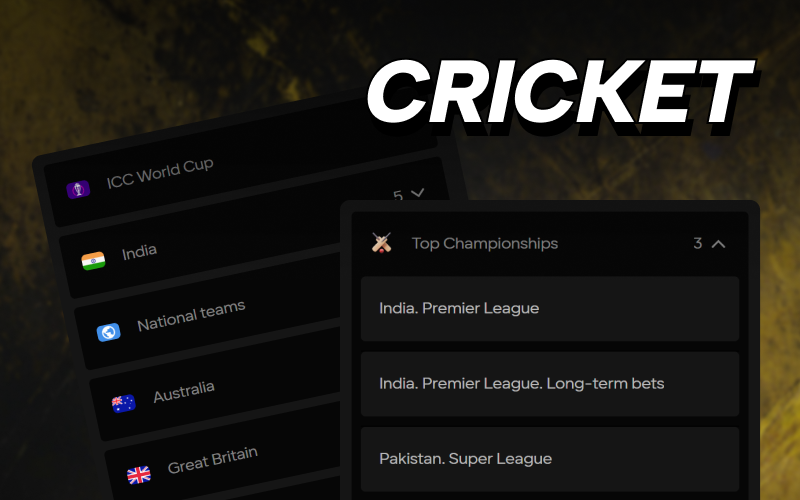 Bet on major cricket leagues using the official Parimatch Sport platform.